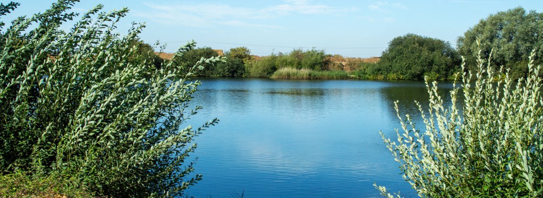 Quiet-reflection---lake-1920-x-700px